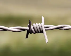RazorwireUK Heavy Duty Barbed Wire